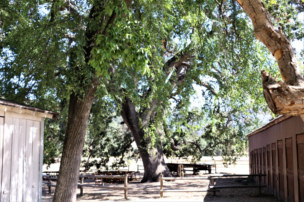 Paramount Ranch | Roads and Destinations