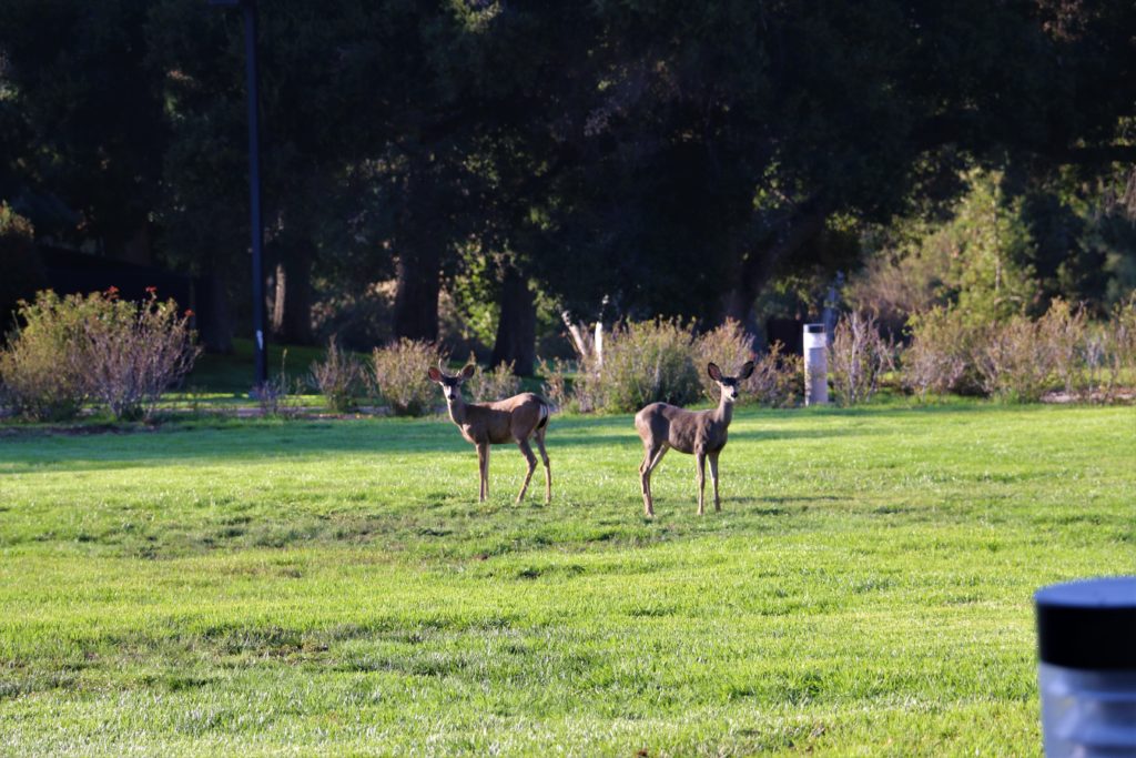 King Gillette Ranch | Roads and Destinations