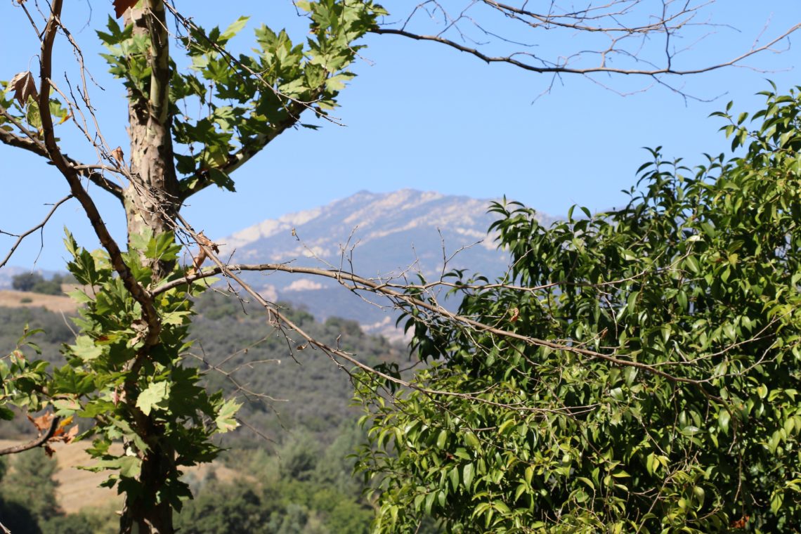 Visit Ojai The 5 Best Things to Do in Ojai, California Roads and