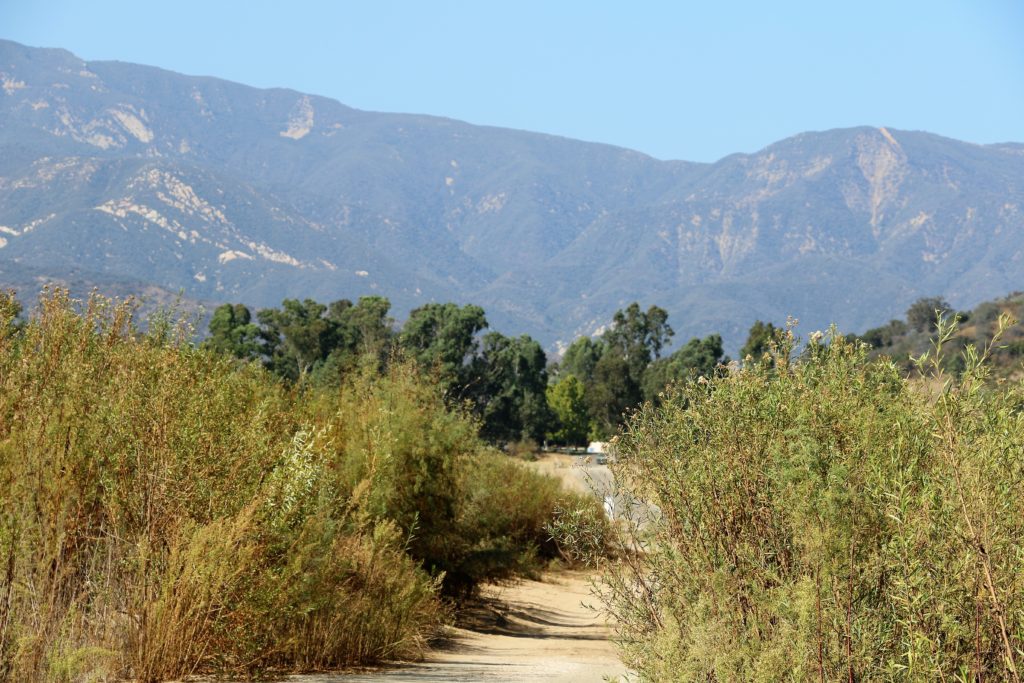 Travel Guide The 5 Best Things to Do in Ojai, California Roads and Destinations