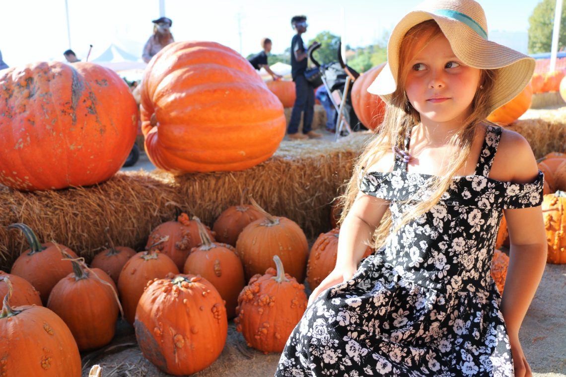 The 5 Best KidFriendly Destinations in Los Angeles Roads and