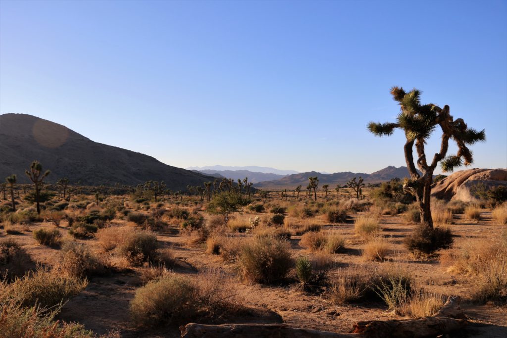 National parks near Los Angeles, www.roadsanddestinations.com