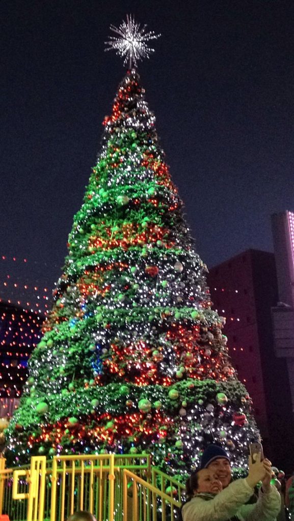 Christmas Trees in Eastern Europe - Roads and Destinations