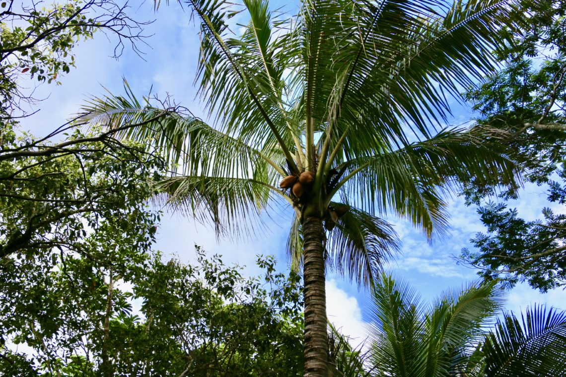 Kauai | Roads and Destinations