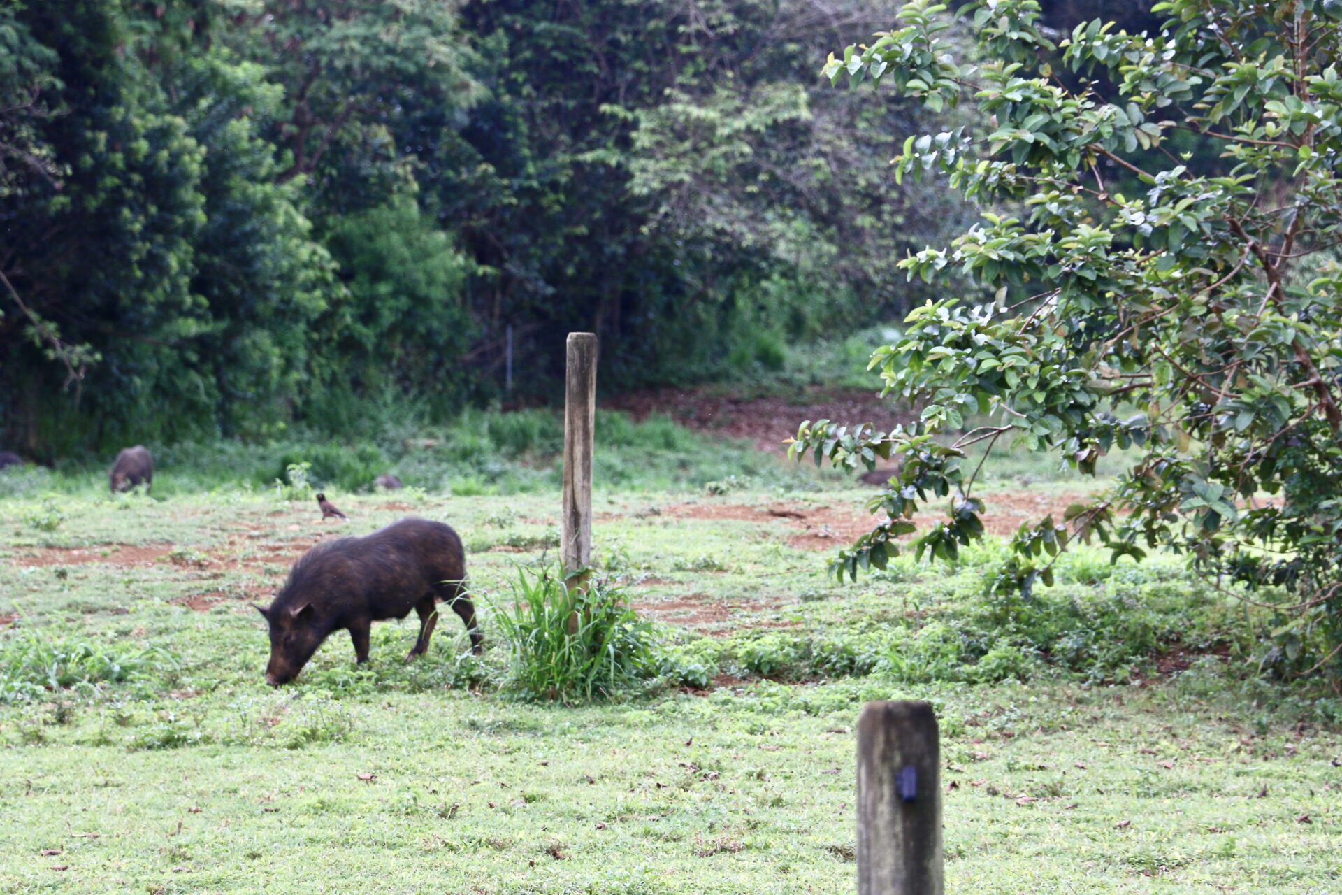 Things to know about Kauai | Roads and Destinations