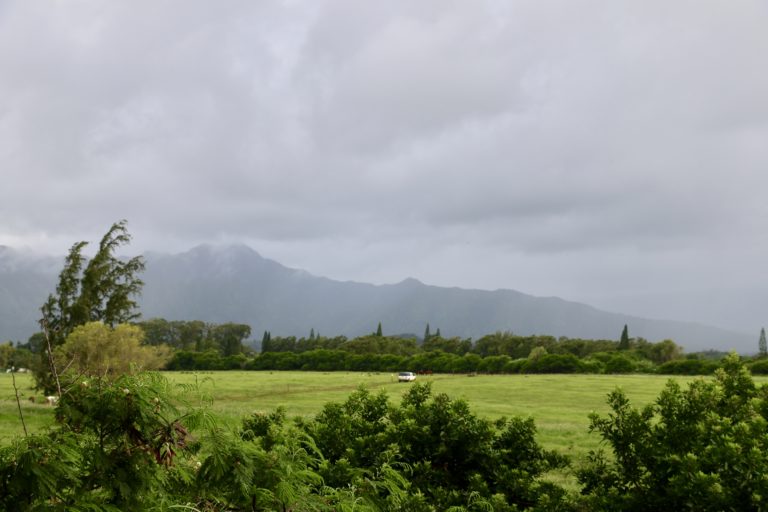 How to Get to Queen’s Bath, Kauai Adventure, Jungle, Hike, and