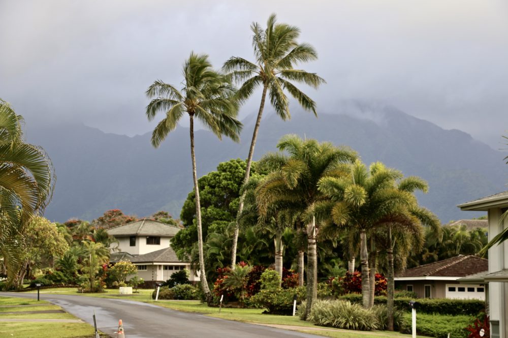 Princeville | Roads and Destinations