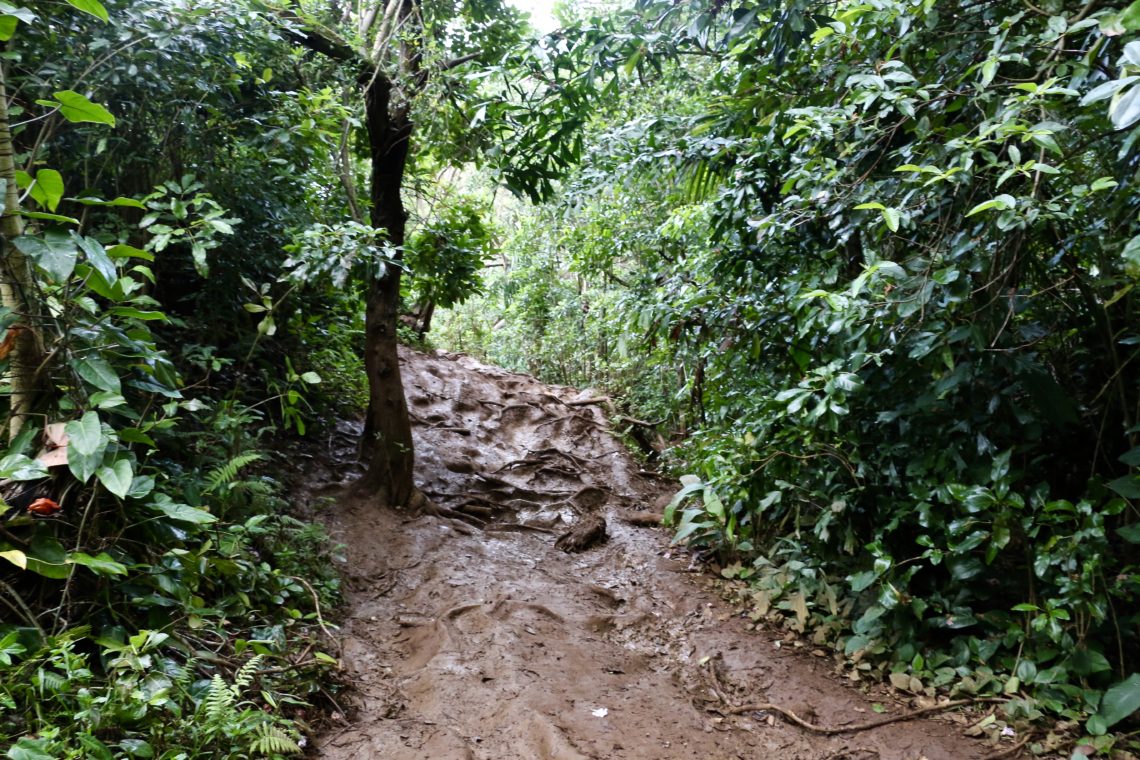 Queen's Bath - Roads and Destinations, roadsanddestinations.com