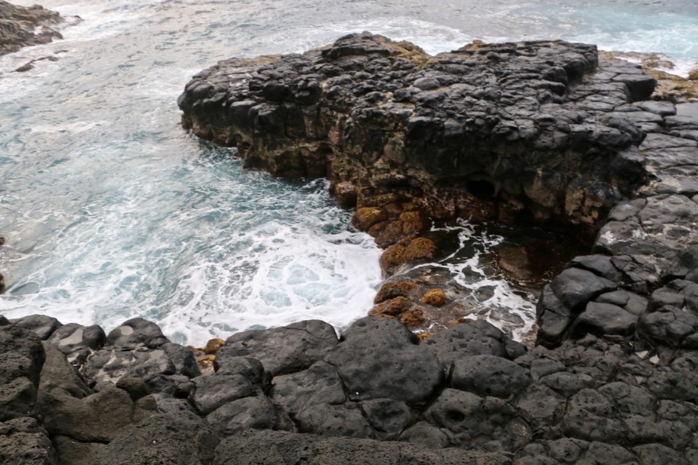How to Get to Queen’s Bath, Kauai Adventure, Jungle, Hike, and