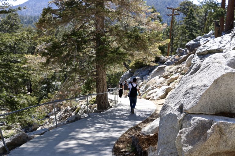 10 Best Day Trips from Los Angeles for Nature Lovers Roads and