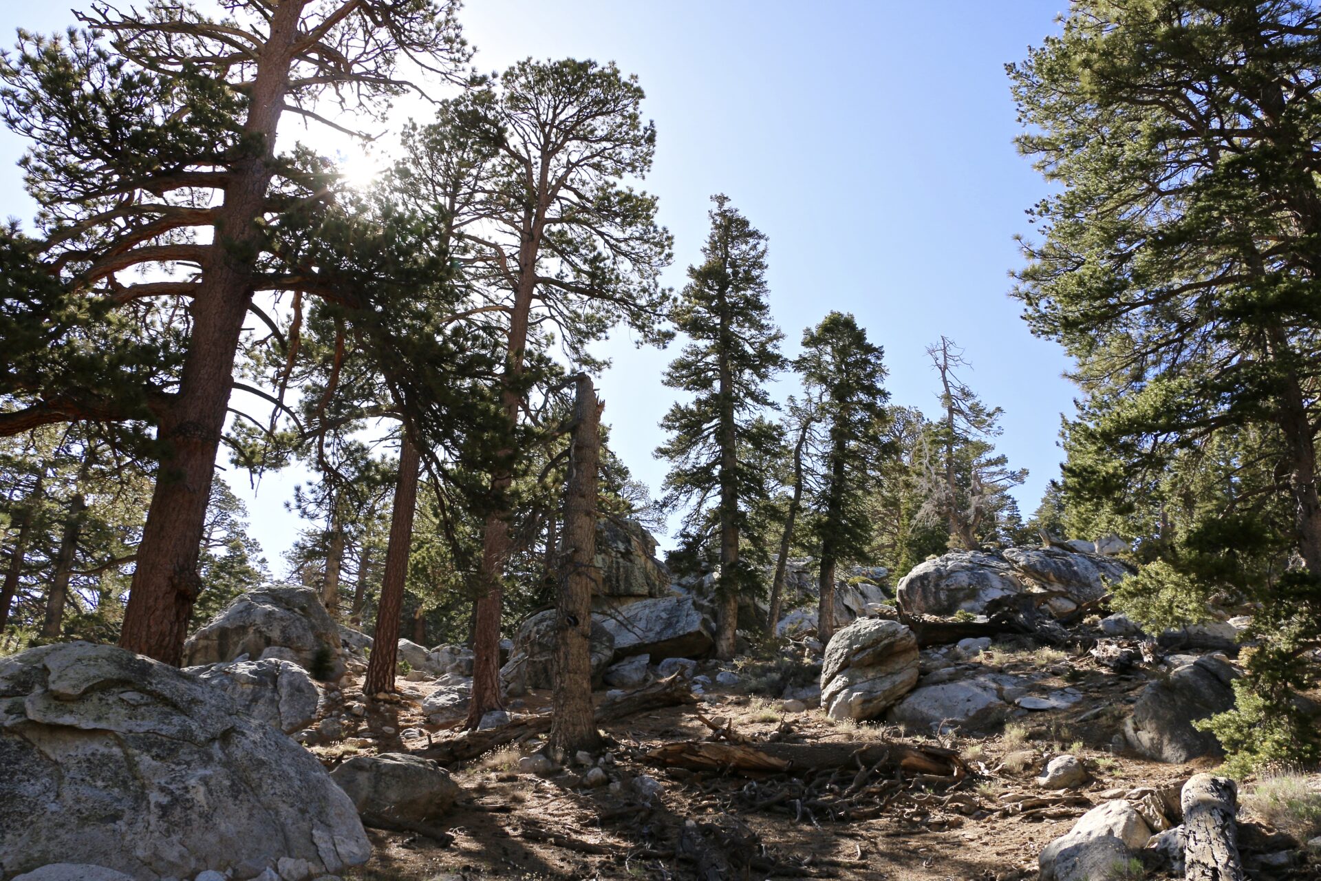 Mount San Jacinto State Park - Roads and Destinations