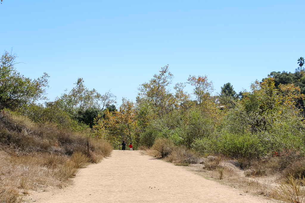 Eaton Canyon Falls Hike | Roads and Destinations