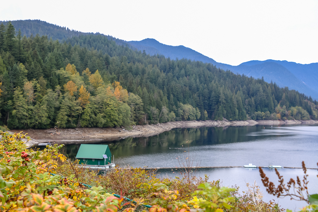 Fall at Capilano River Regional Park, Vancouver - Roads and Destinations