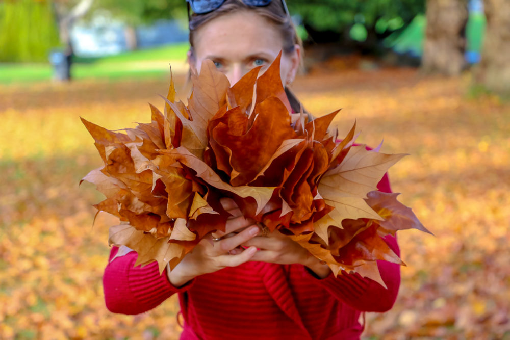 Fall colors in Vancouver - Roads and Destinations