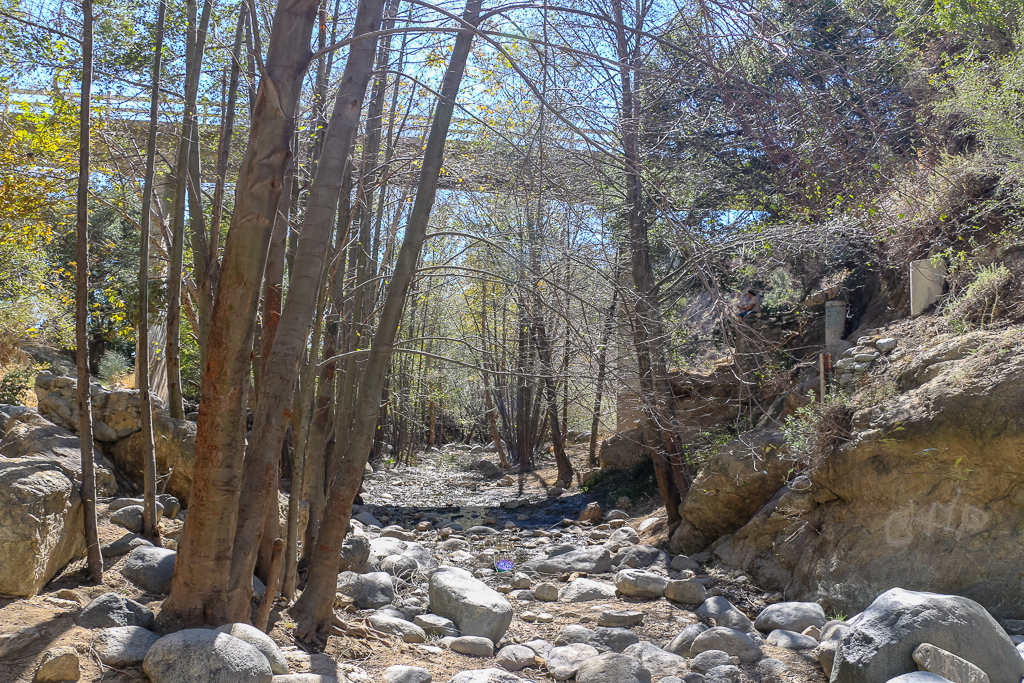 Hiking to Eaton Canyon Falls - Roads and Destinations, roadsanddestinations.com