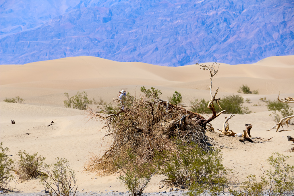 Death Valley: Mesquite Flat Sand Dunes Adventure - Roads and Destinations, roadsanddestinations.com