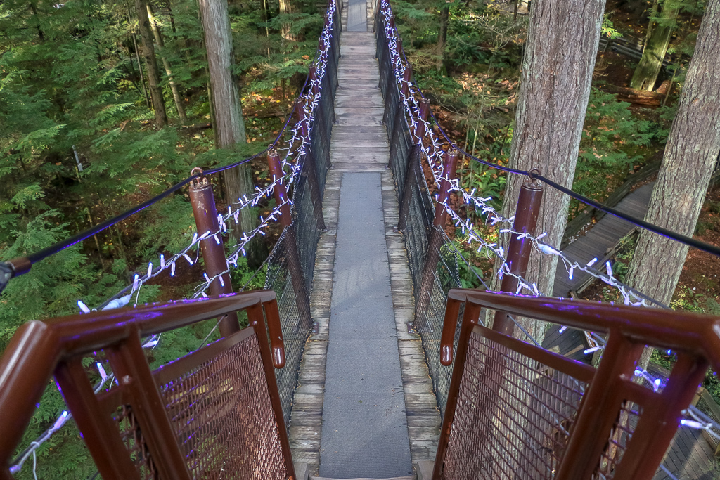 Small Suspension Bridges, Vancouver - Roads and Destinations