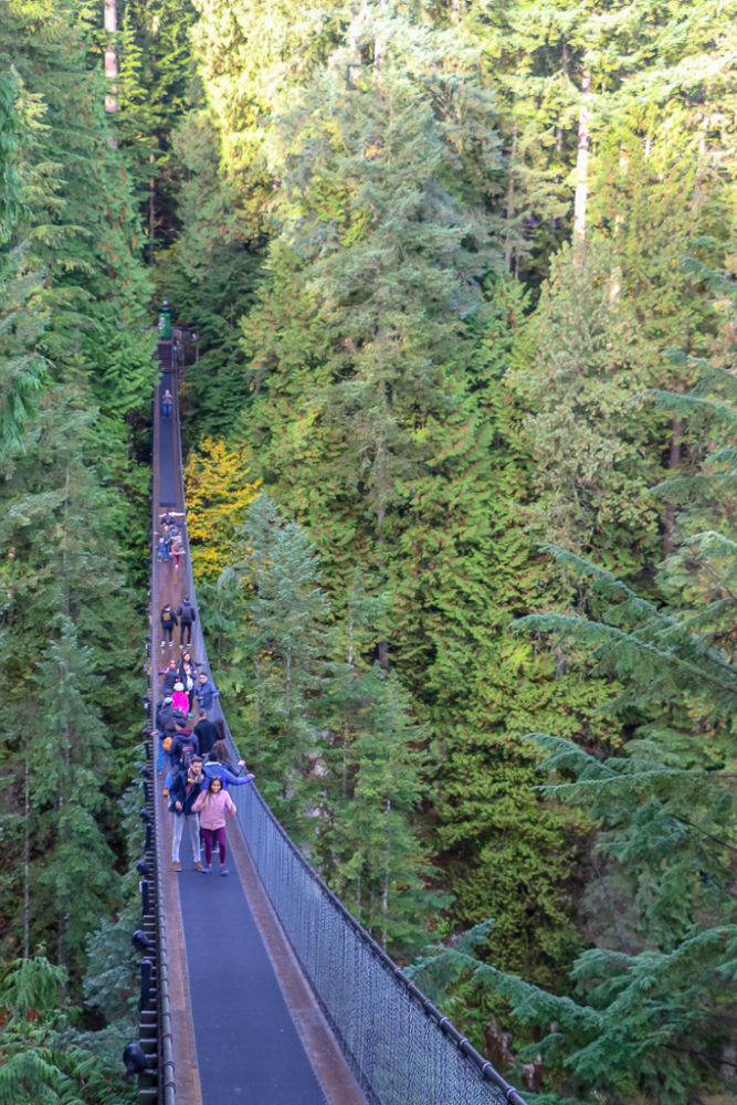 The Capilano Suspension Bridge Gets Busy Very Fast