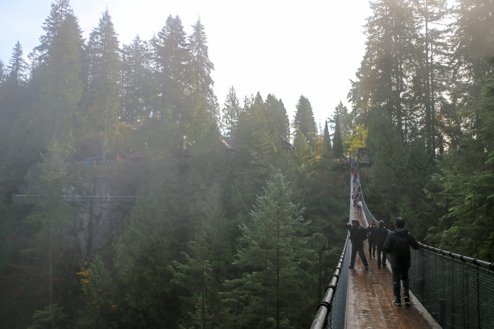 Capilano Suspension Bridge - Roads and Destinations