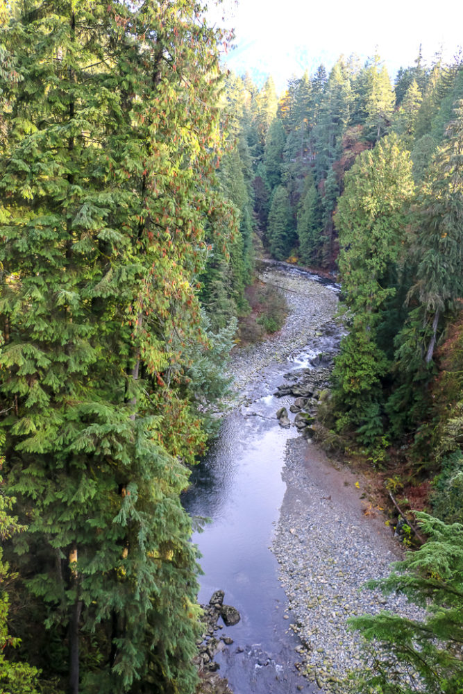  Capilano Suspension Bridge - Roads and Destinations