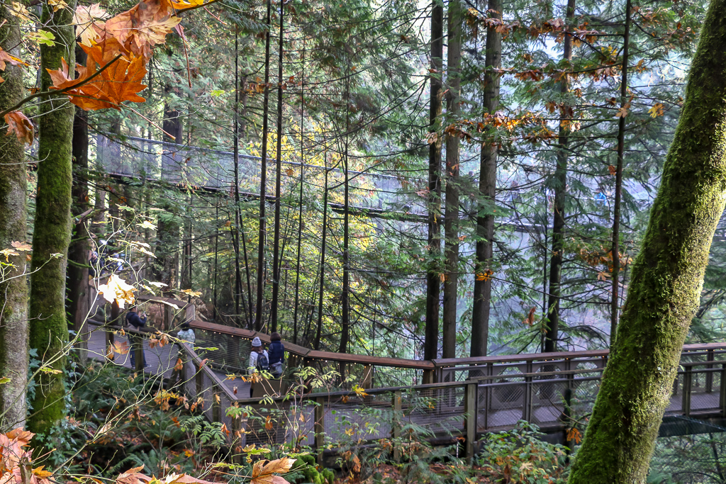 Toptrees Adventure, Vancouver - Roads and Destinations