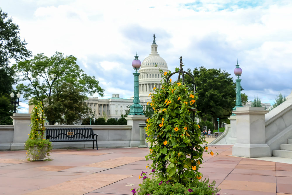 Washington, D.C. - Roads and Destinations