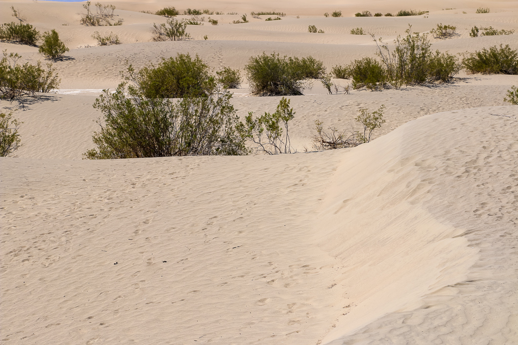 Death Valley: Mesquite Flat Sand Dunes Adventure - Roads and Destinations, roadsanddestinations.com