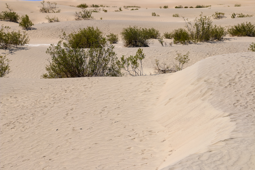 Mesquite Flat Sand Dunes in Death Valley - Roads and Destinations