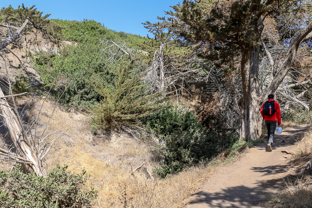 Hiking on Santa Cruz Island | Roads and Destinations