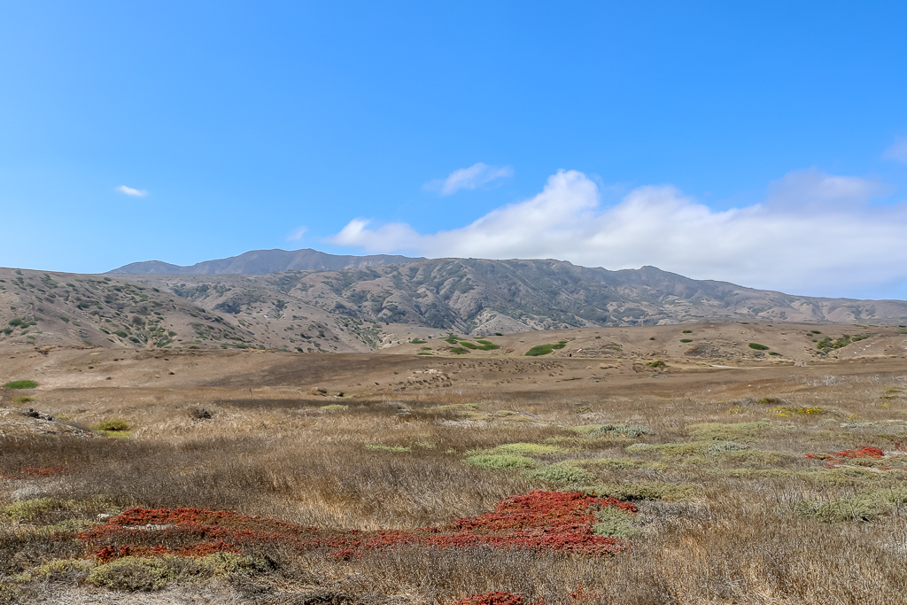 Hiking on Santa Cruz Island | Roads and Destinations