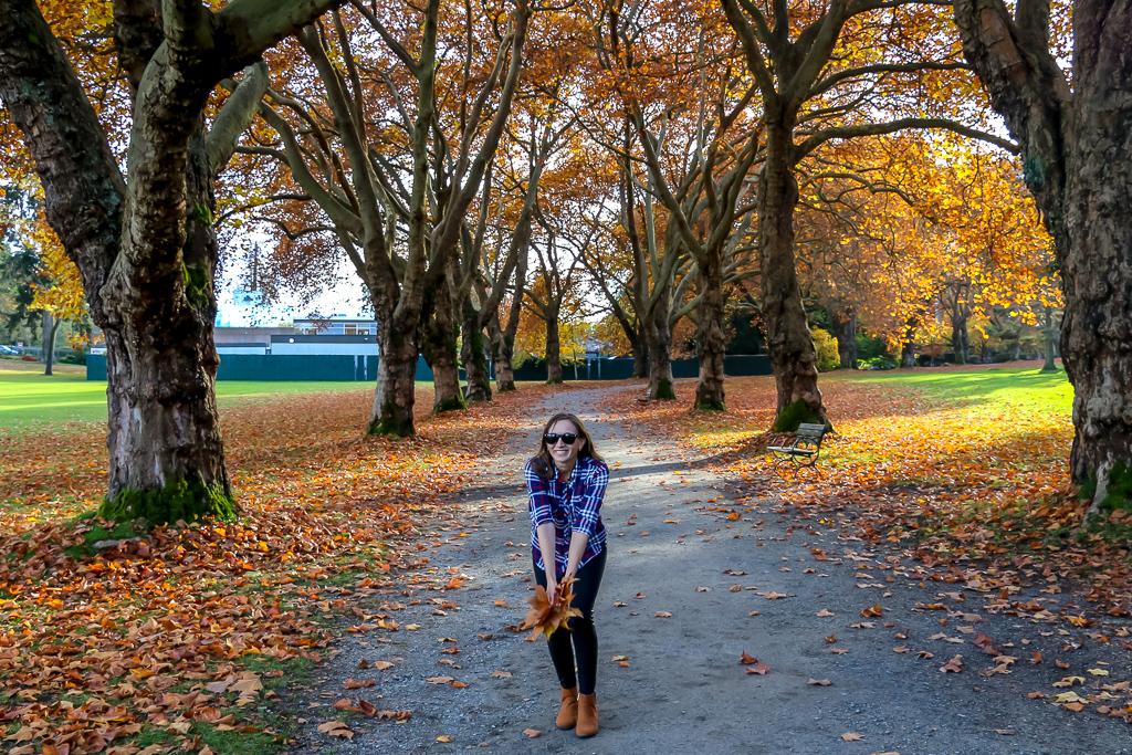 Stanley Park - Roads and Destinations