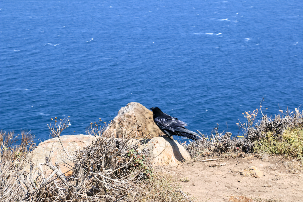 Channel Islands National Park | Roads and Destinations