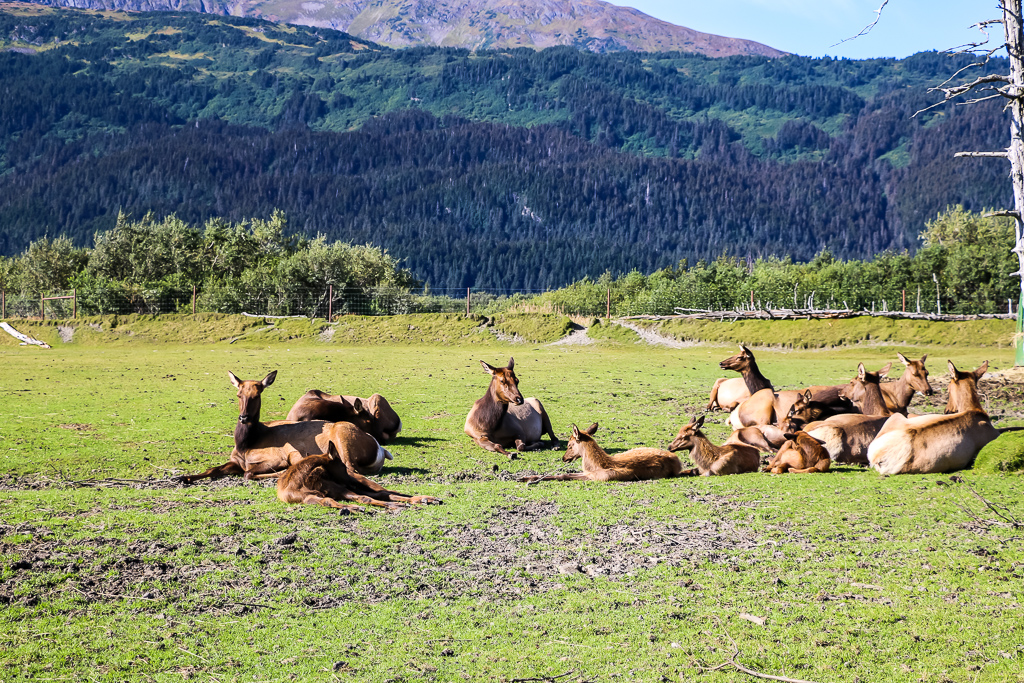 The Last Frontier - Roads and Destinations, roadsanddestinations.com