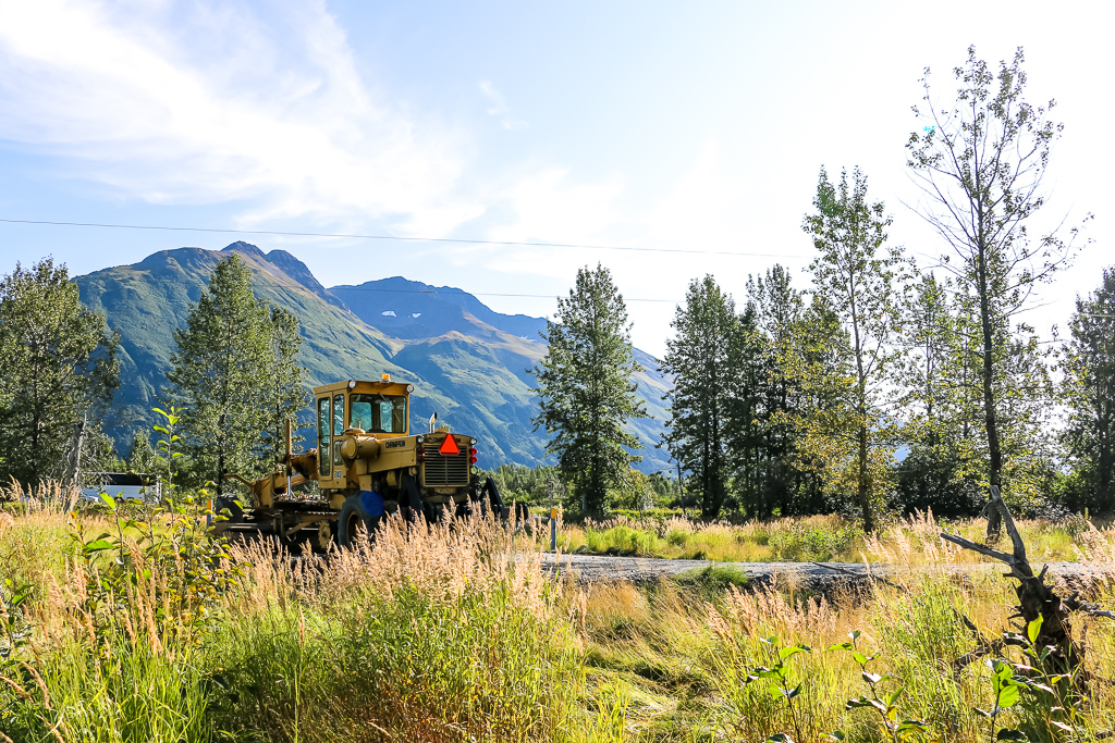 Visit the Alaska Wildlife Conservation Center - Roads and Destinations, roadsanddestinations.com