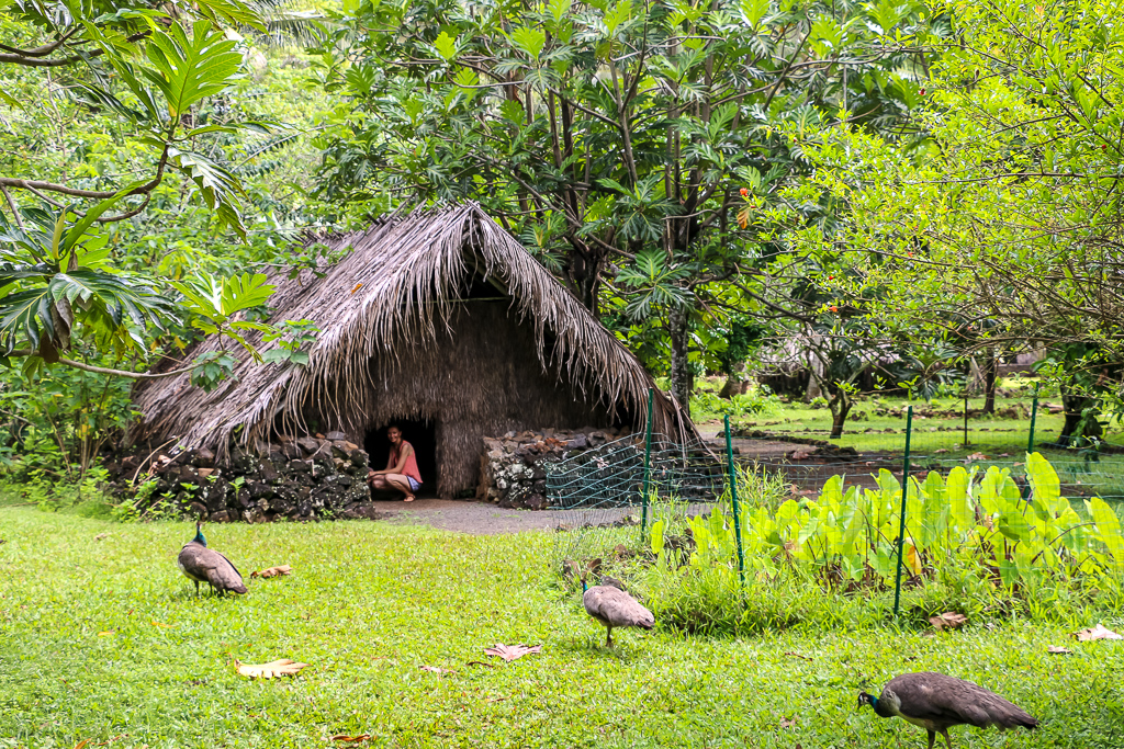 Kamokila Hawaiian Village - Roads and Destinations