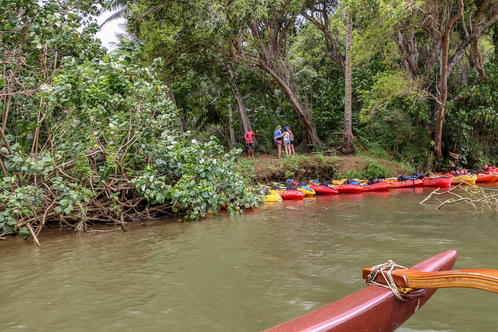 Canoe ride up the river