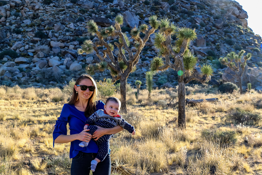 Exploring Joshua Tree National Park for the first time | Roads and Destinations