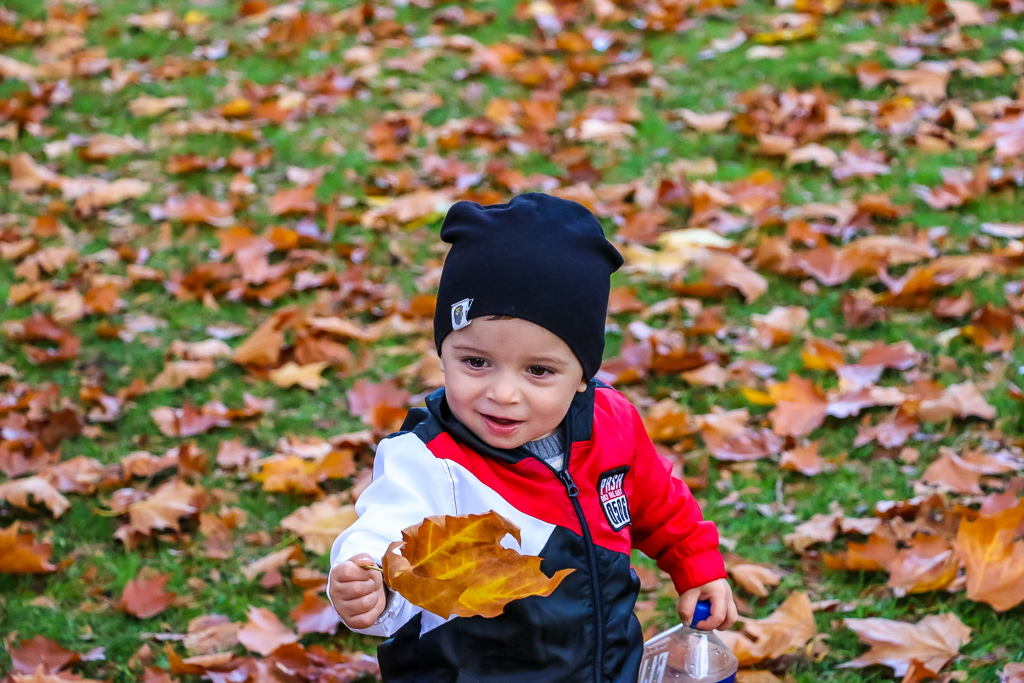 First fall foliage in Vancouver