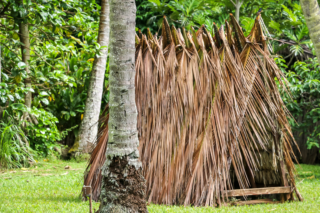 Kamokila Hawaiian Village - Roads and Destinations