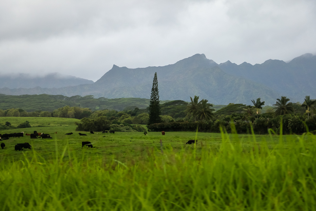 Sleeping Giant - Roads and Destinations