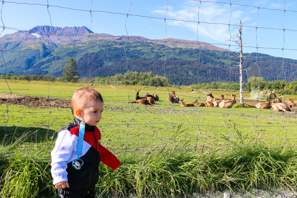 Baby's First Travel Experiences that Even Adults Will Envy - Roads and ...