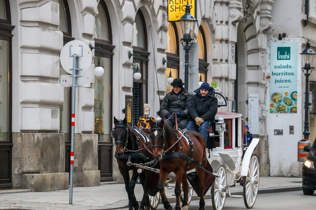 More than Destination, Carriages on the streets of Vienna
