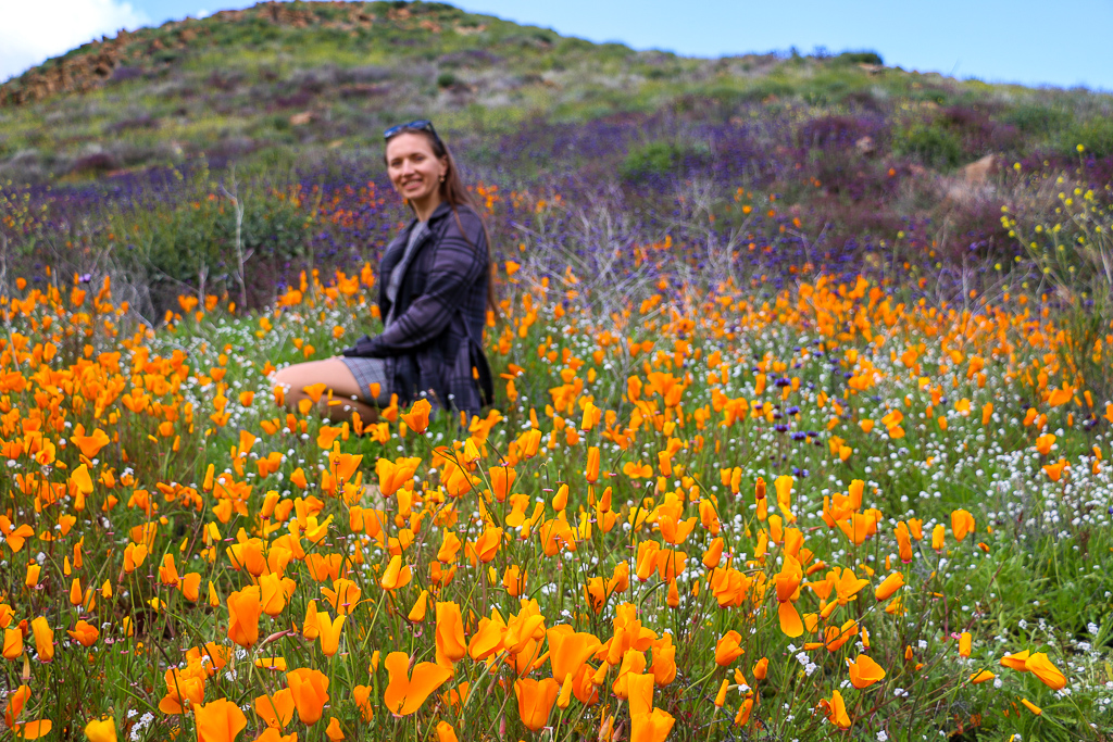 California Super Bloom Where to See Wildflowers near Los Angeles Roads and Destinations