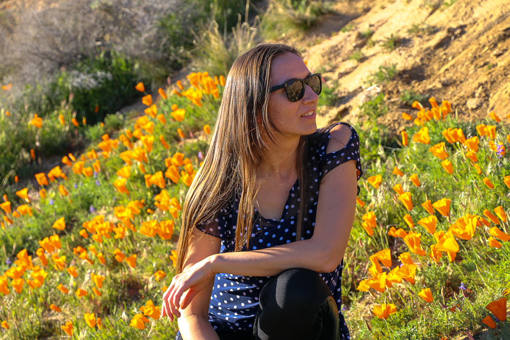 California Super Bloom, roadsanddestinations.com