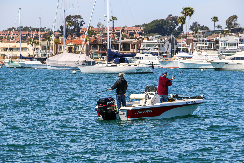Newport Beach from a Boat Photo Diary - Roads and Destinations