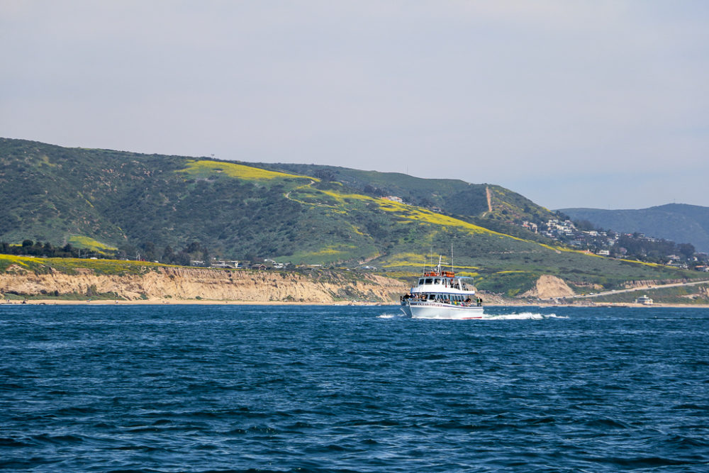 Newport Beach | Roads and Destinations