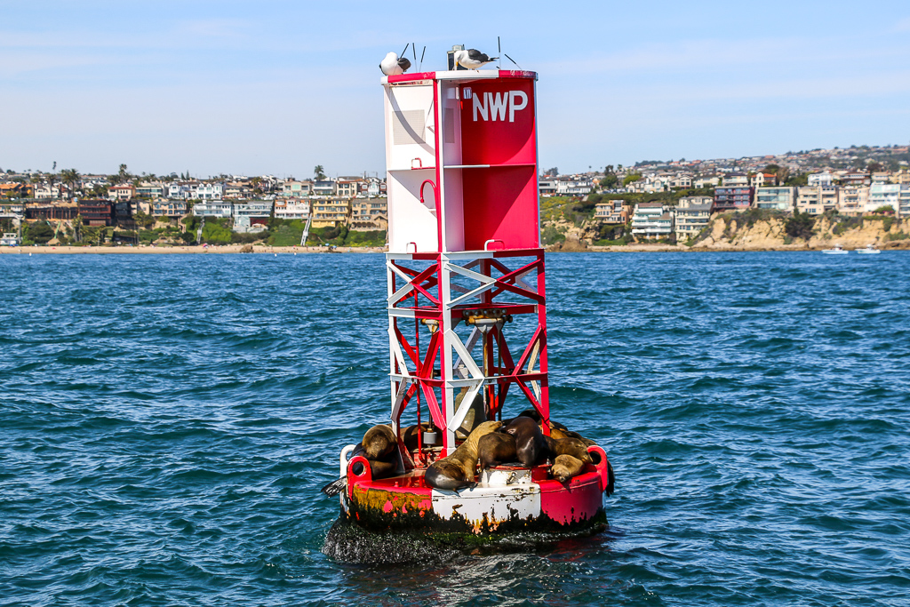 Newport Beach from a Boat Photo Diary, roadsanddestinations.com