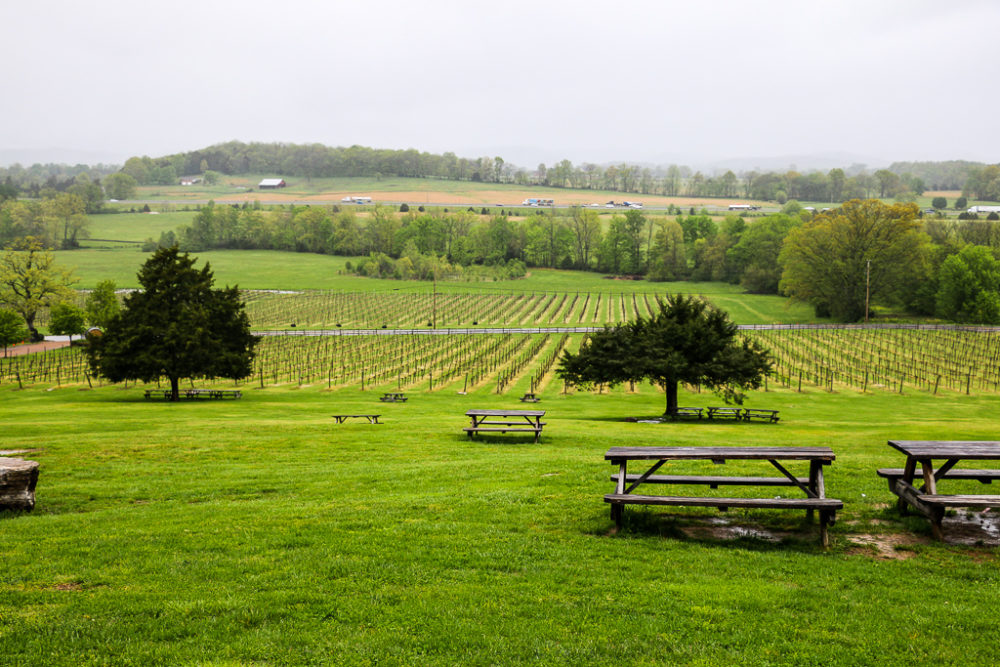 Arrington Vineyards | Roads and Destinations