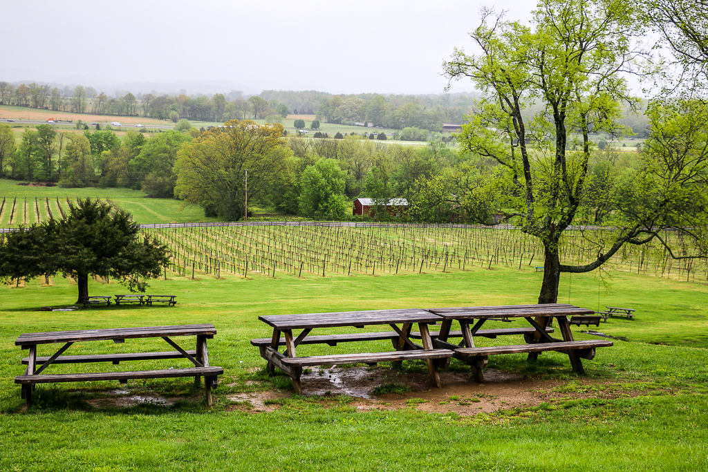 Visiting Arrington Vineyards in Tennessee, roadsanddestinations.com