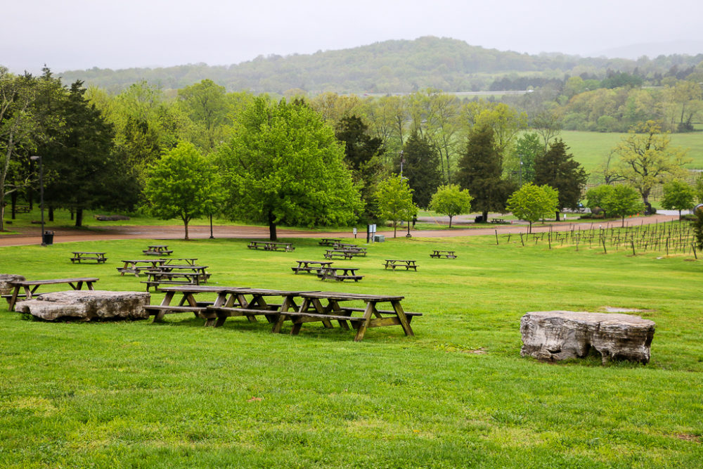 Visiting Arrington Vineyards in Tennessee Roads and Destinations